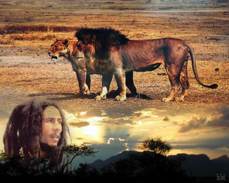bob marley